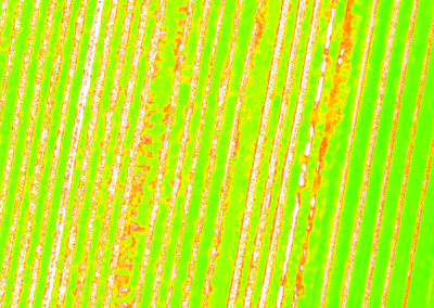 Warrnambool spray drones strawberry NDVI map