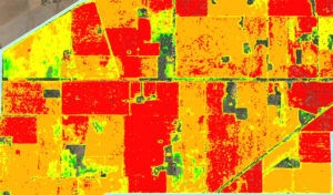 5000 ha ndvi map warracknabeal