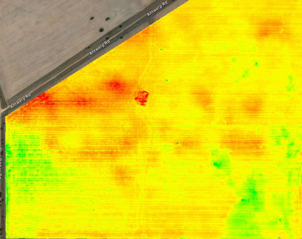 Multispectural drone ndvi map Warracknabeal