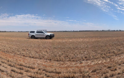 Unlocking Yield Potential: The Power of NDVI Mapping for Large-Scale Agriculture