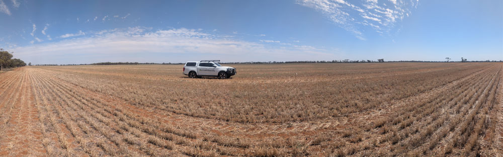 Storm Spatial Ute in wheat field