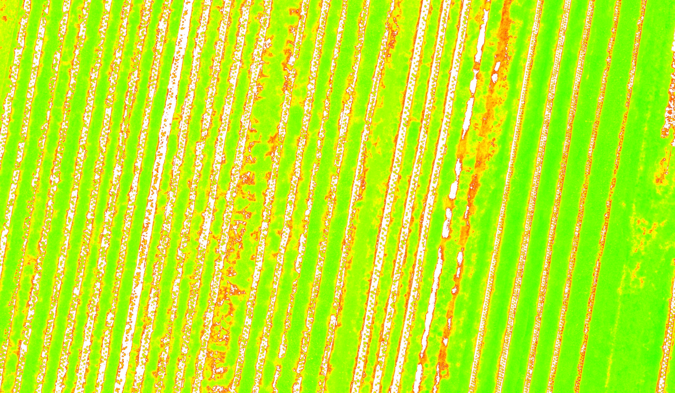 NDVI multispectral index map showing crop row health variability — Storm Spatial vegetation mapping output showing stressed and healthy zones across an agricultural site in Victoria.