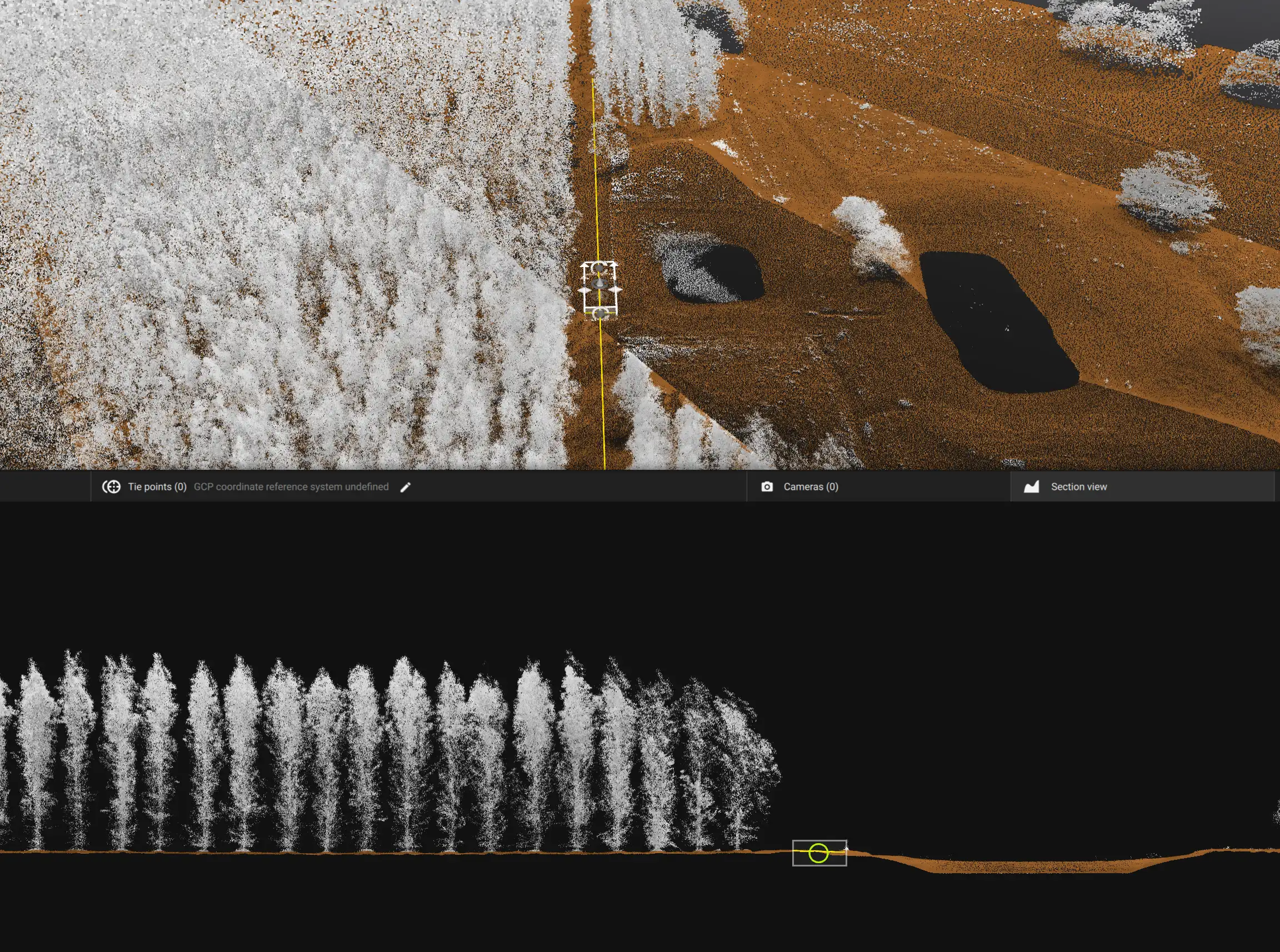  LiDAR point cloud scan of plantation trees by Storm Spatial — showing individual tree detection and cross-section profile for forestry inventory mapping Victoria.